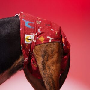 Pañal Hembra Braguita-Conexión