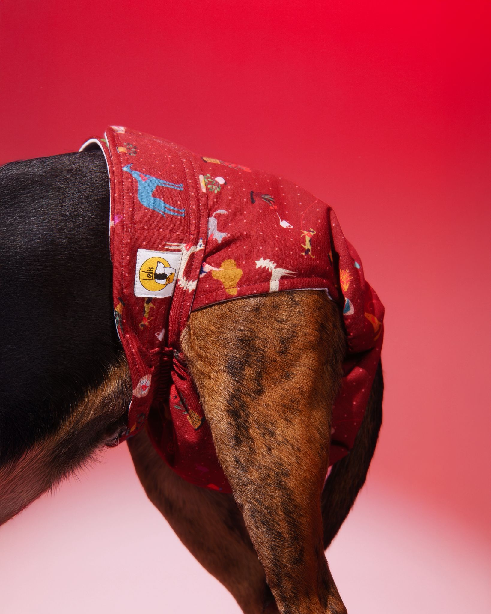 Pañal Hembra Braguita-Conexión