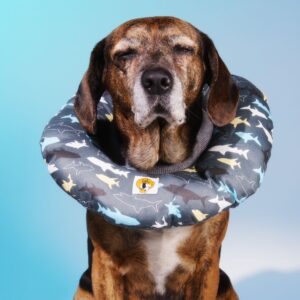 Collarín Donut Marino