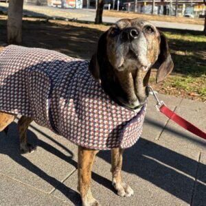 Abrigo Tetris de Lana