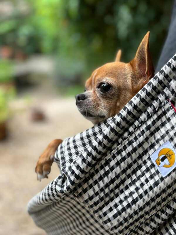 Bolso para perro pequeño. Blanco y negro - Imagen 4