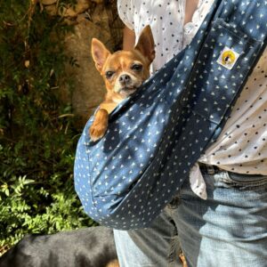 Bolso tejano para llevar perros pequeños