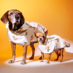 Chubasquero impermeable Melocotonero