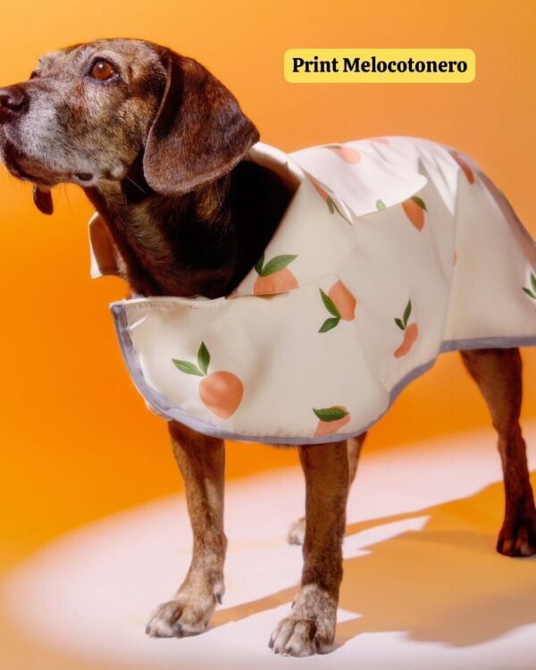 Chubasquero impermeable Melocotonero - Imagen 3