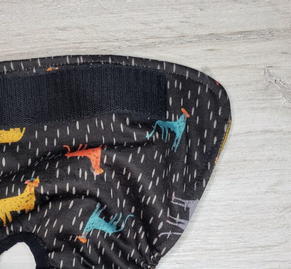 Pañal Hembra Braguita-Perro Frida - Imagen 4