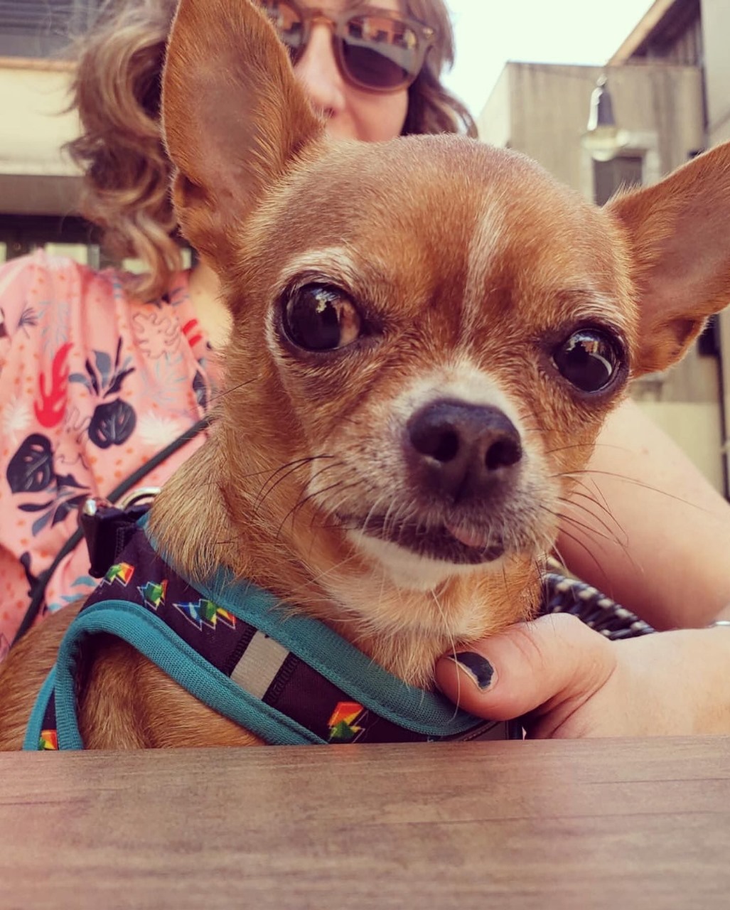 Ilustraciones personalizadas - Imagen 2