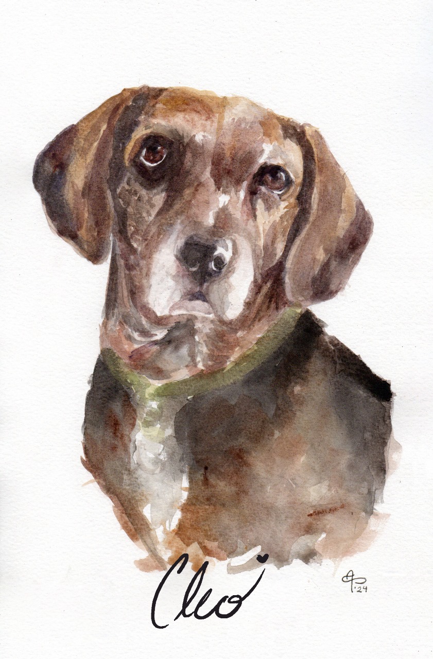 Ilustraciones personalizadas - Imagen 3