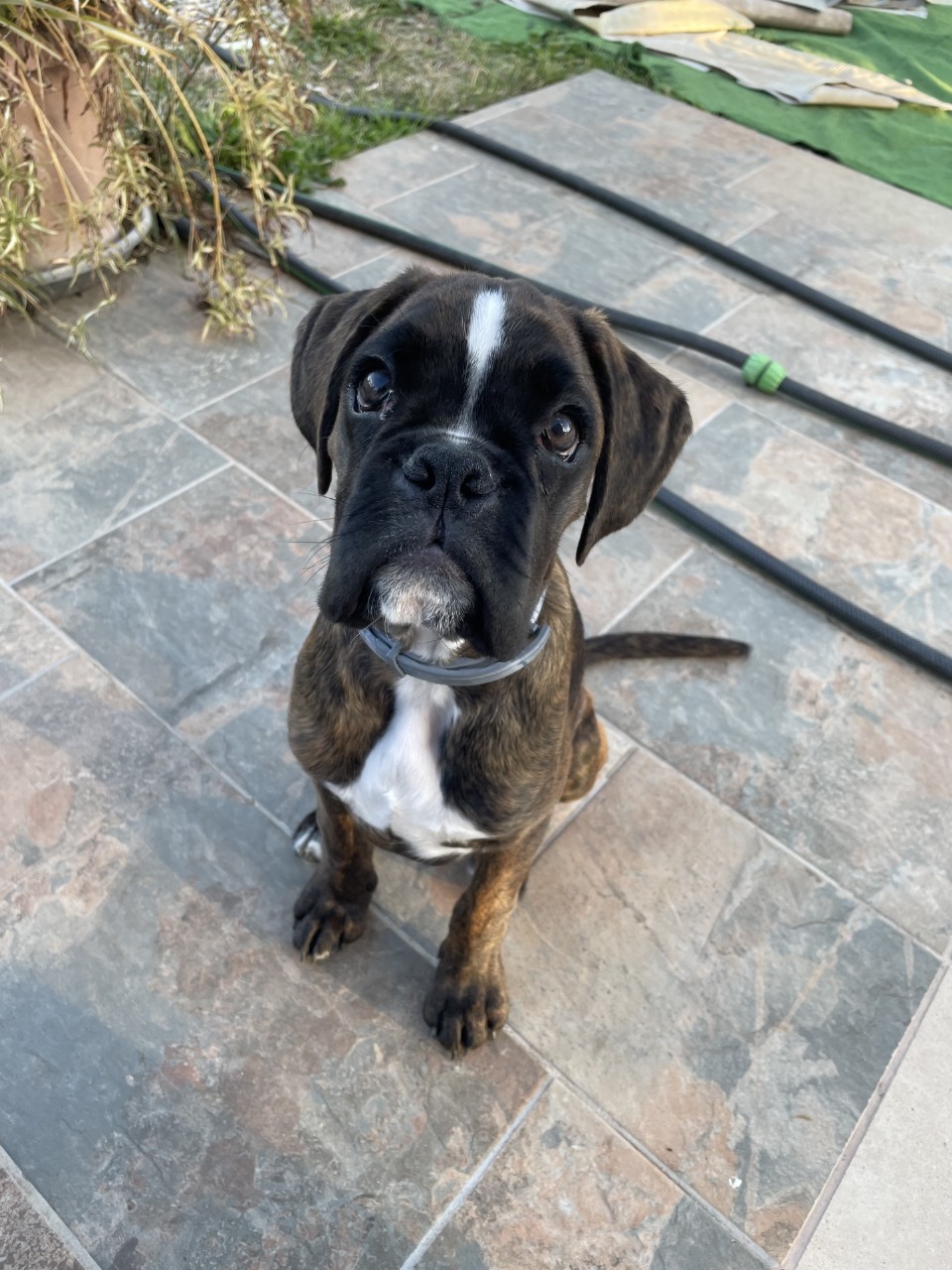 Ilustraciones personalizadas - Imagen 12