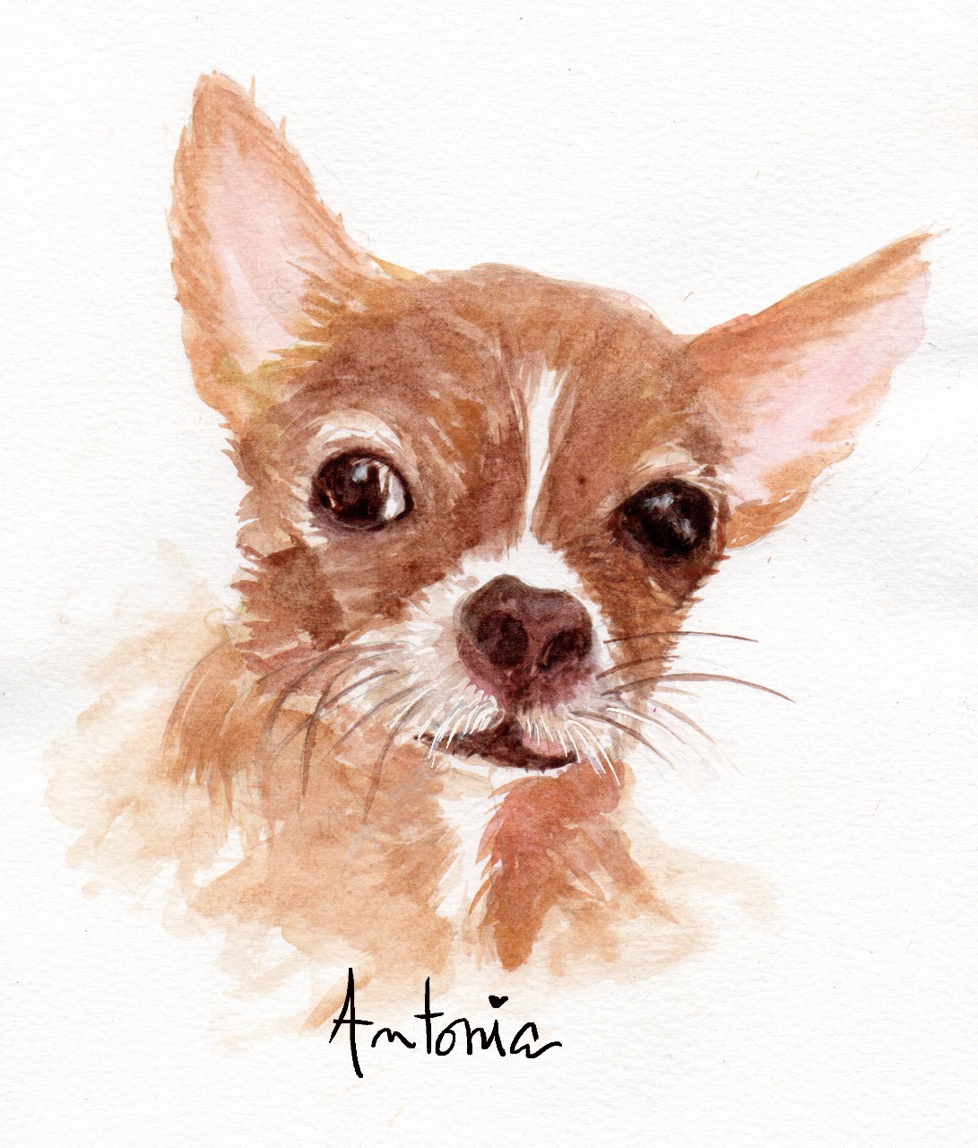 Ilustraciones personalizadas