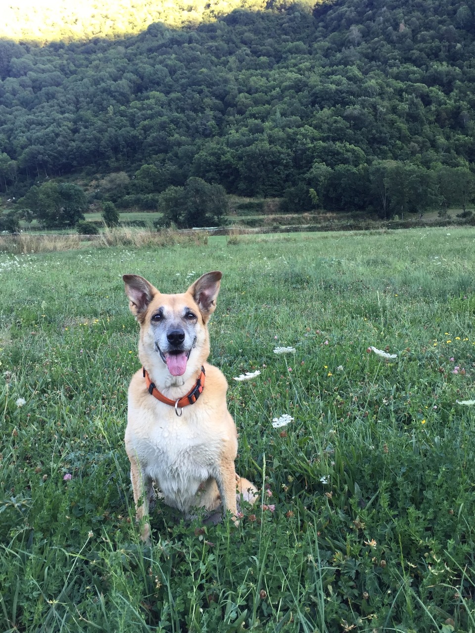 Ilustraciones personalizadas - Imagen 7