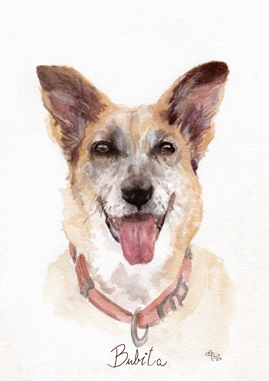 Ilustraciones personalizadas - Imagen 5