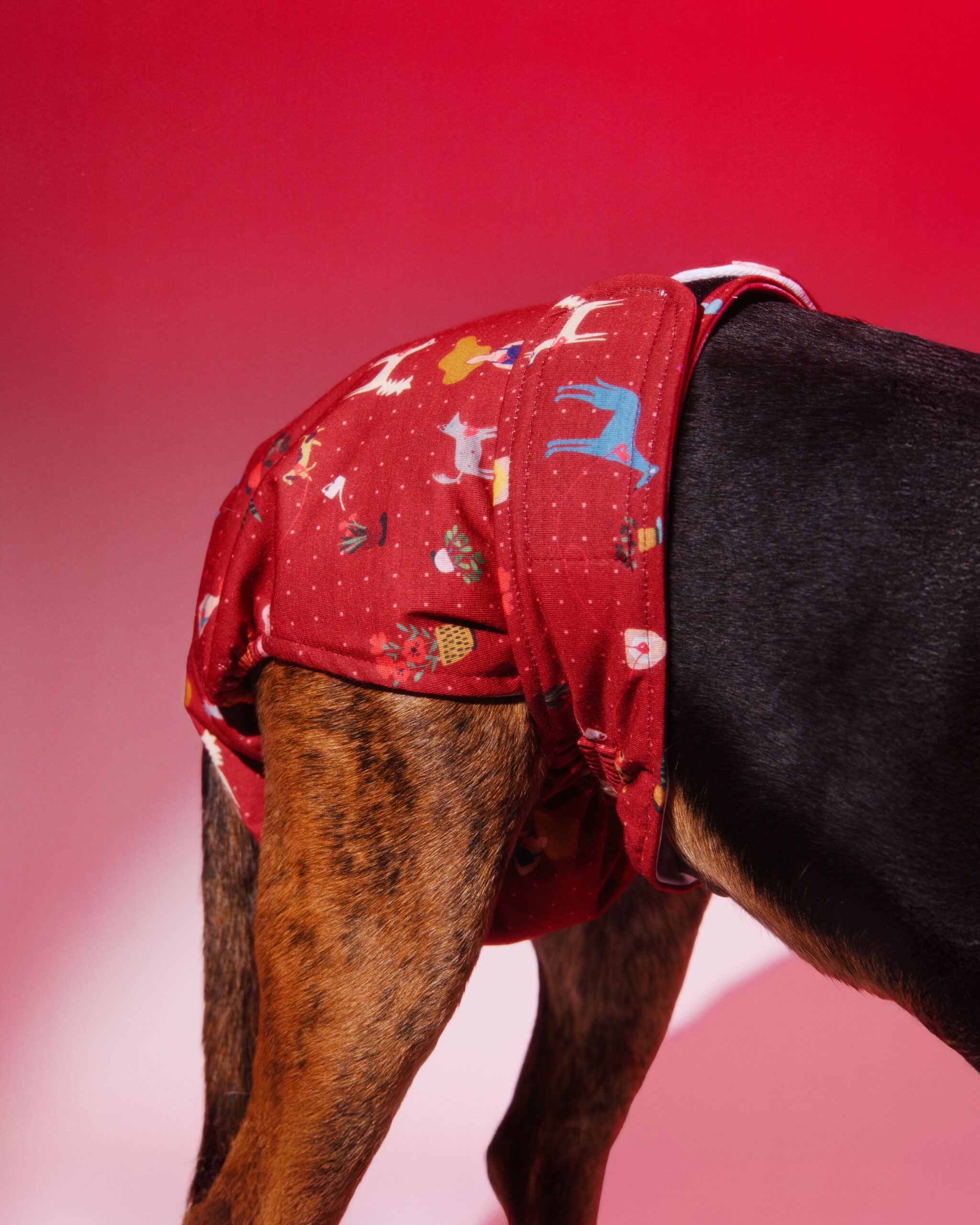 Pañal Hembra Braguita-Conexión - Imagen 4