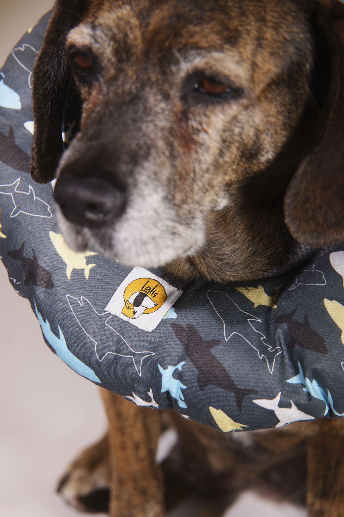 Collarín Donut Marino - Imagen 4