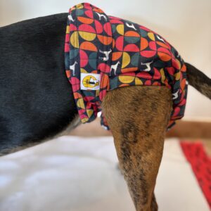 Pañal Hembra Braguita - House Dog