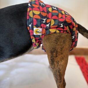 Pañal Hembra Braguita - House Dog