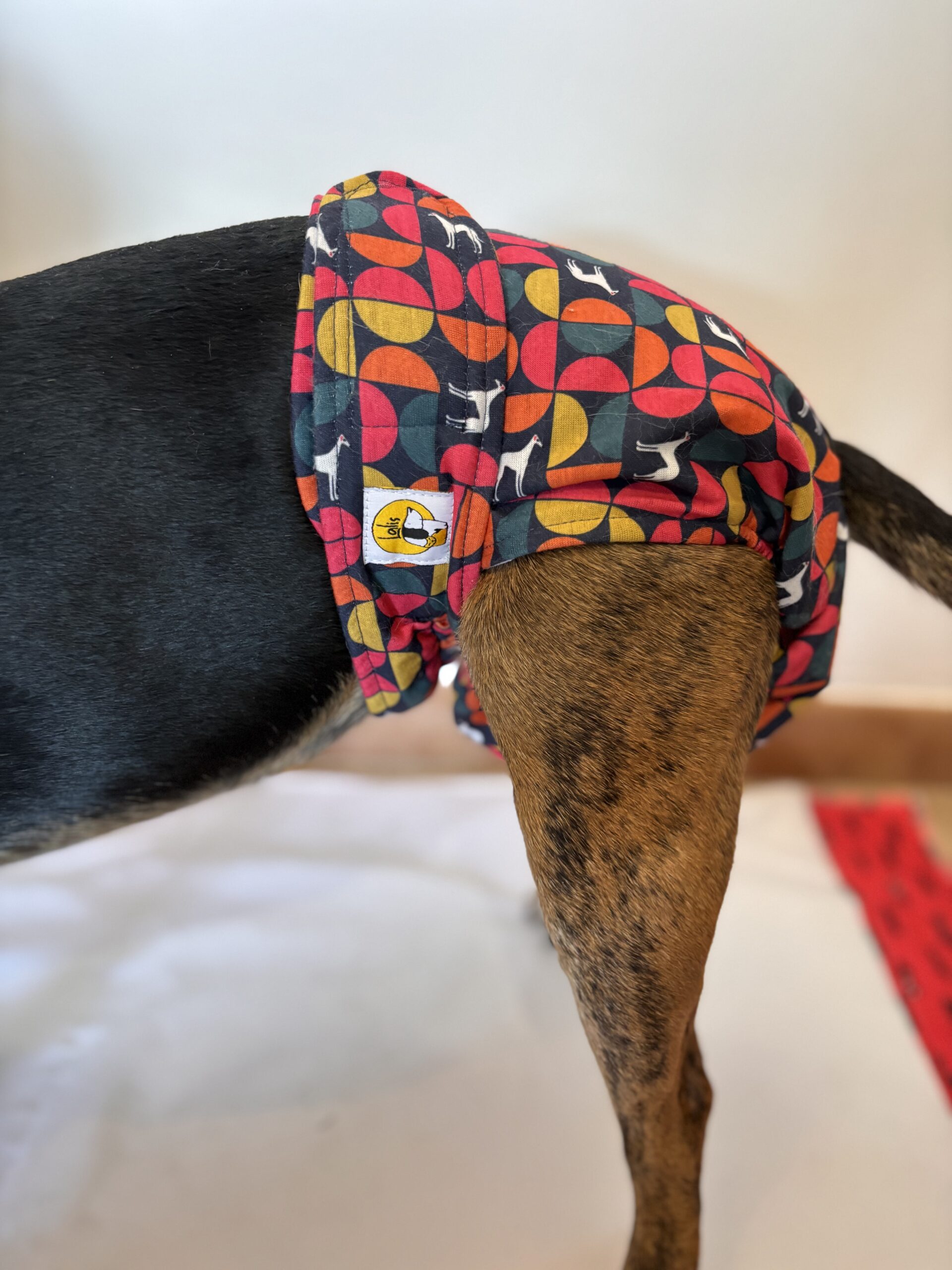 Pañal Hembra Braguita - House Dog