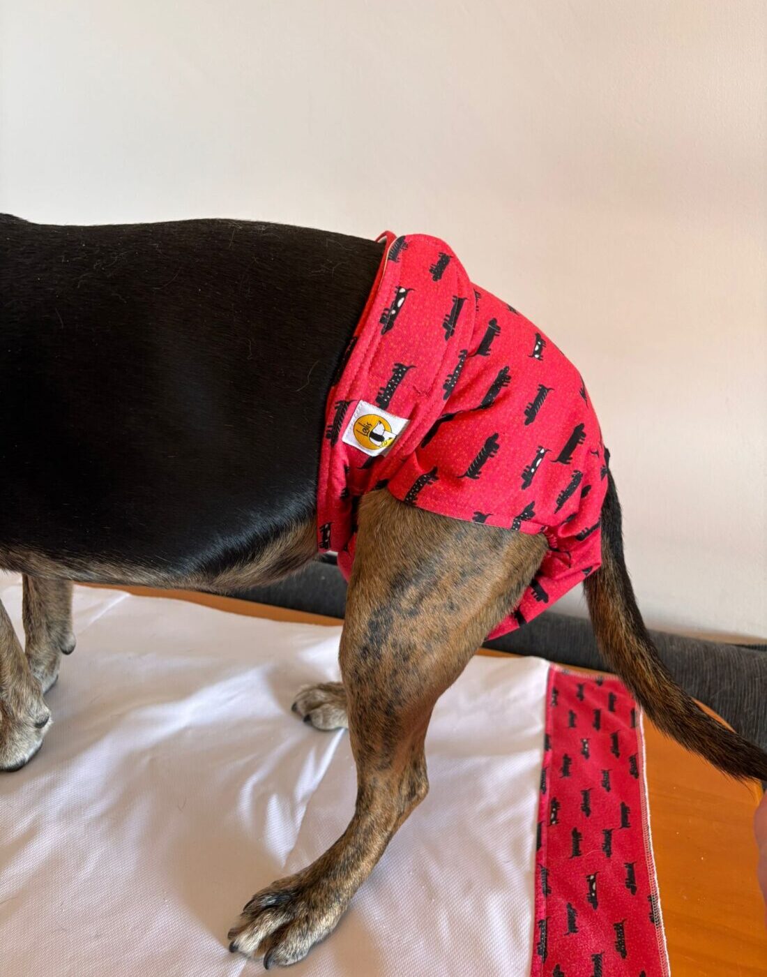 Pañal Hembra Braguita - Perro Salchicha - Imagen 2