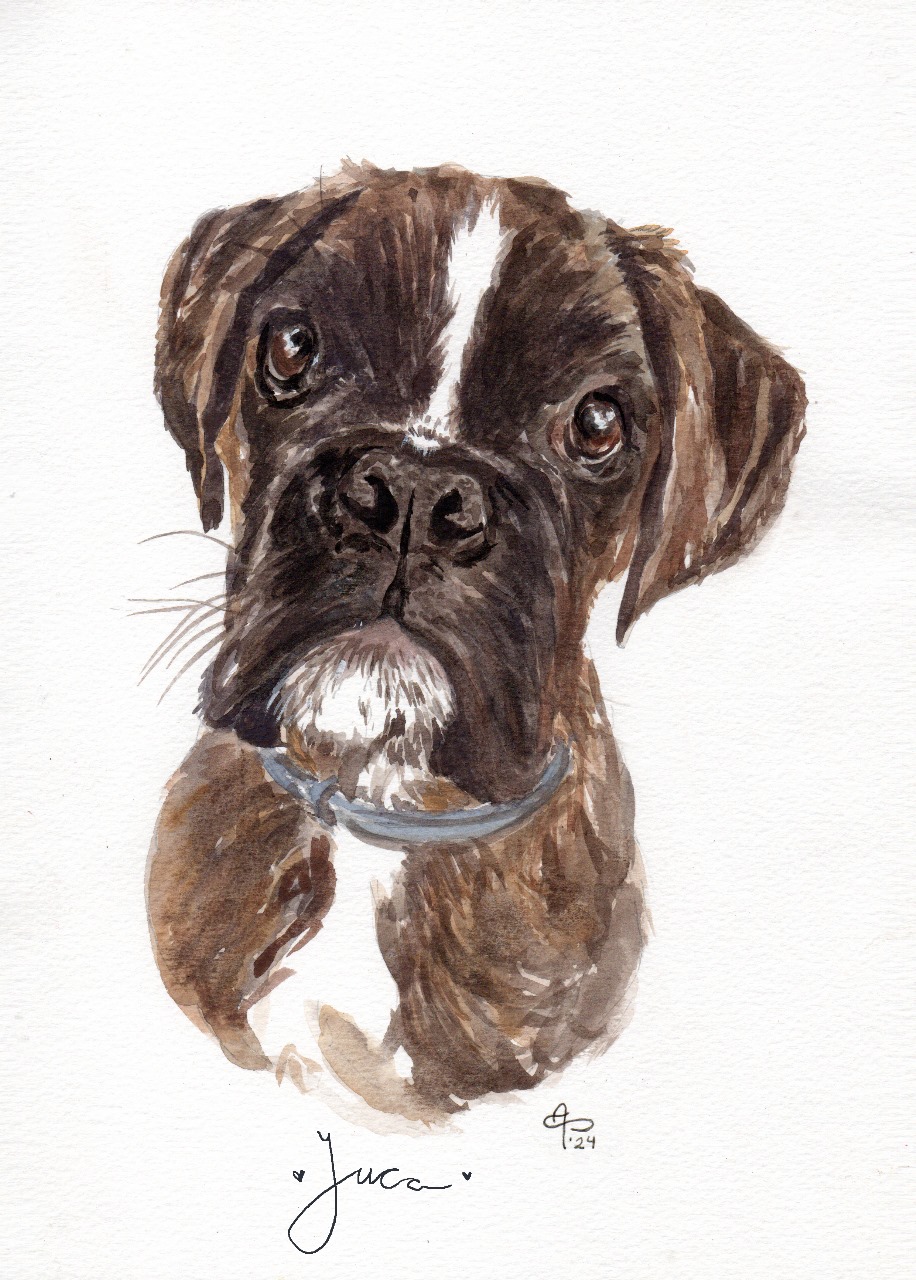 Ilustraciones personalizadas - Imagen 11