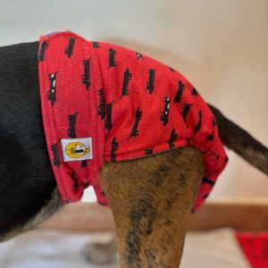 Pañal Hembra Braguita - Perro Salchicha