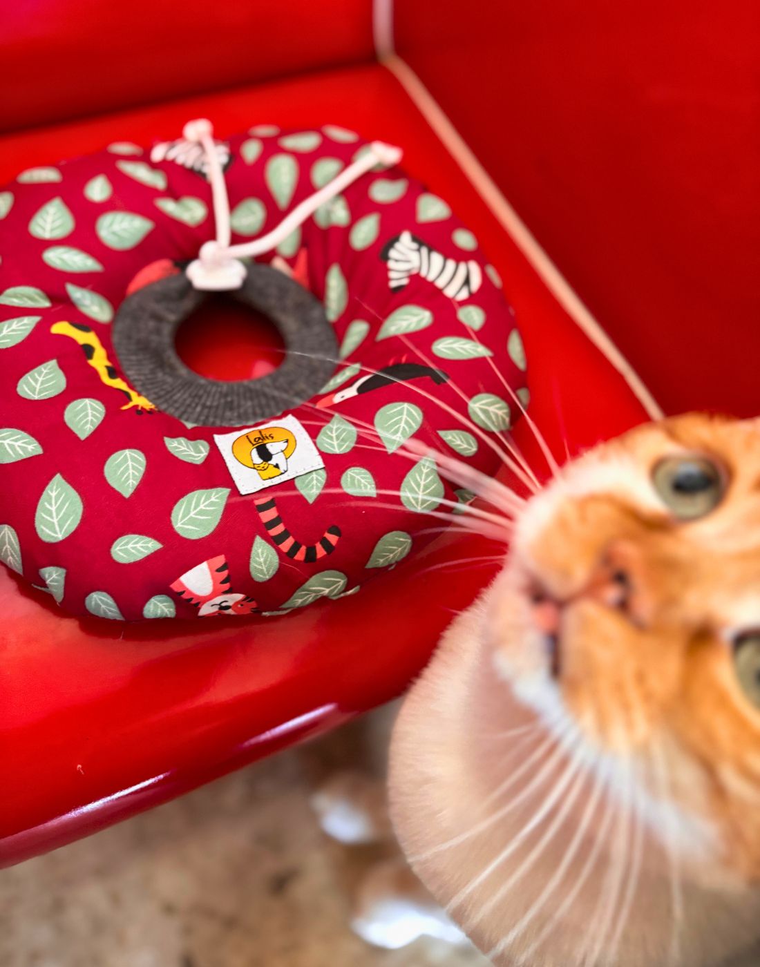 Collarín Donut Hojita - Imagen 4