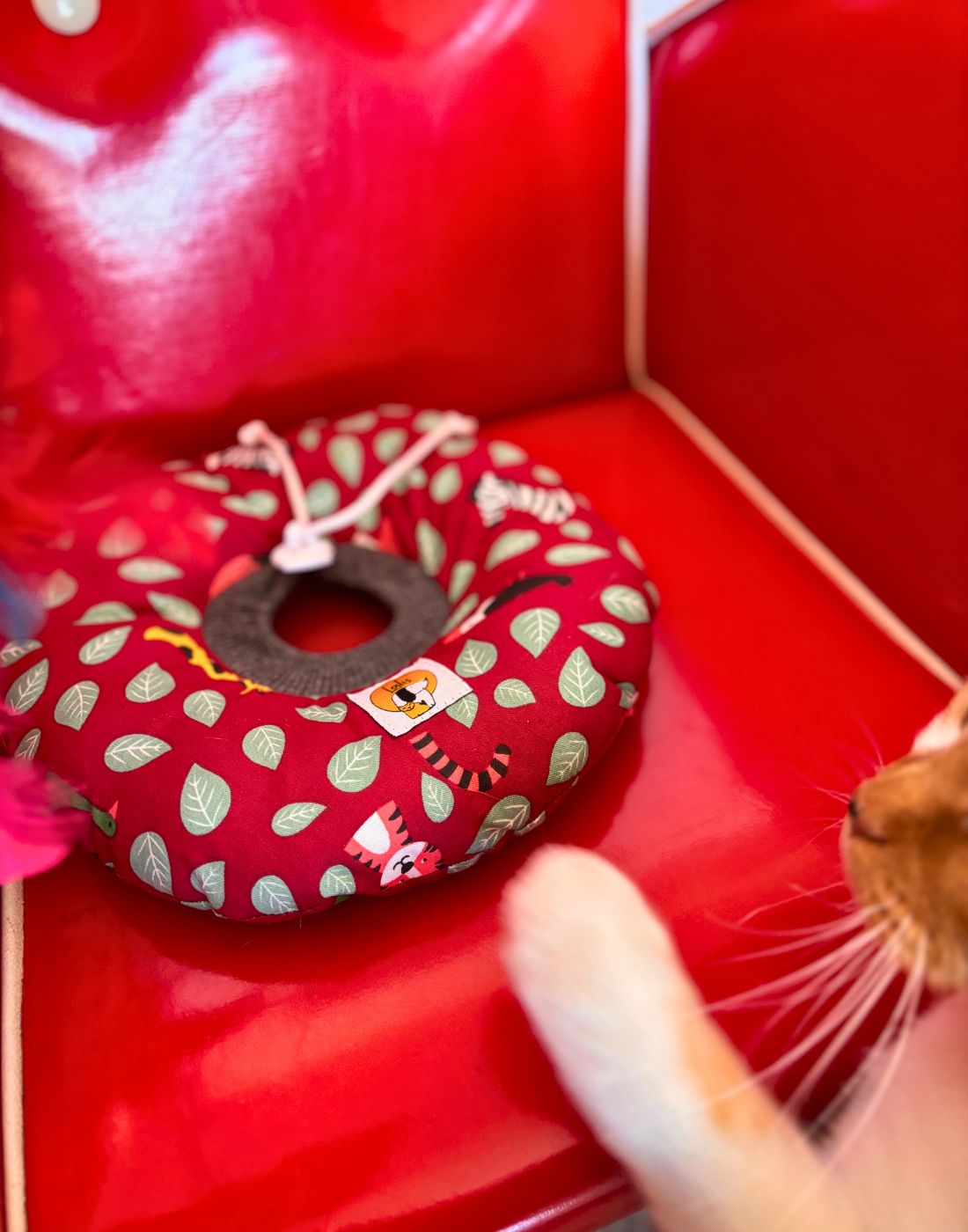 Collarín Donut Hojita - Imagen 5