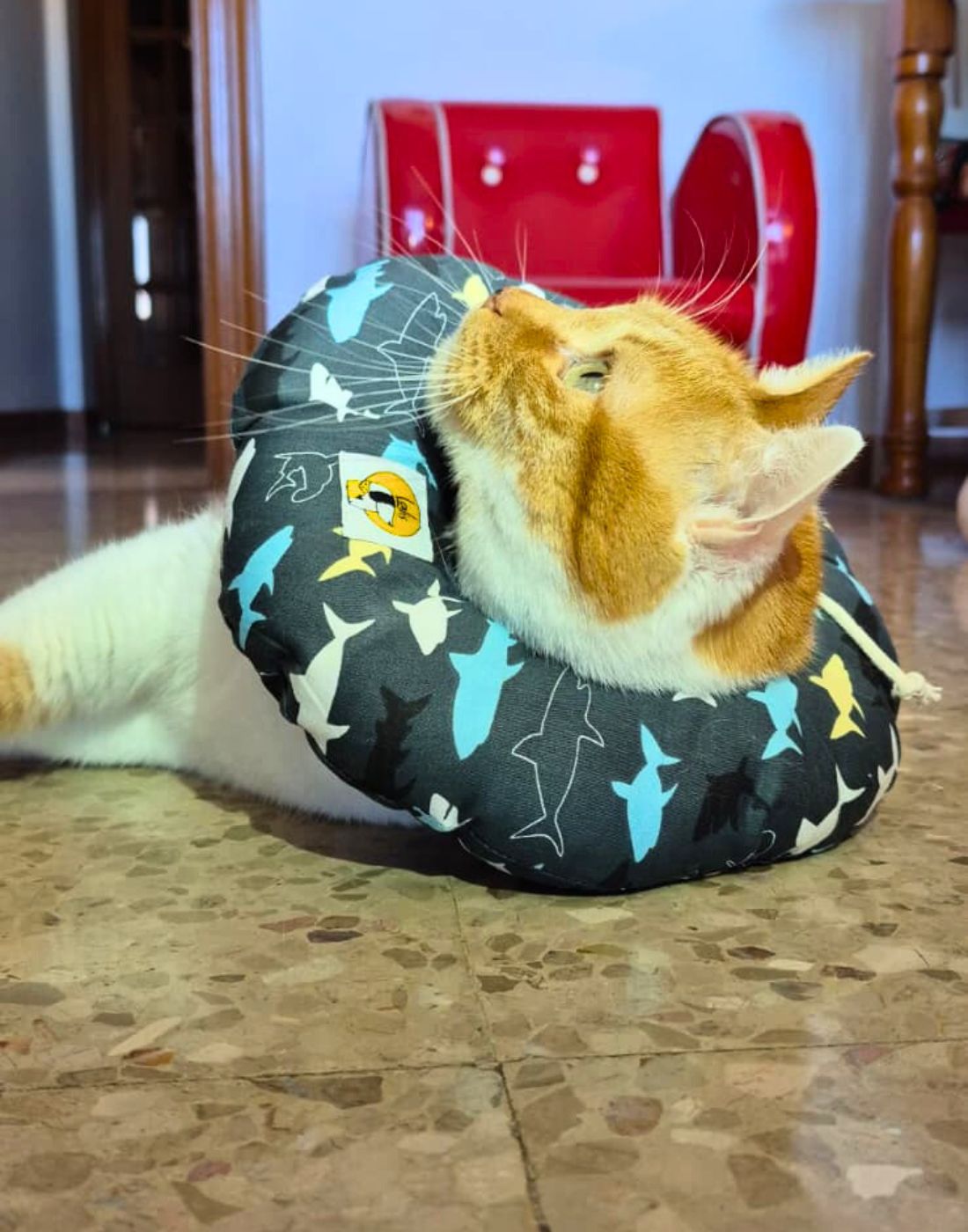 Collarín Donut Marino - Imagen 3