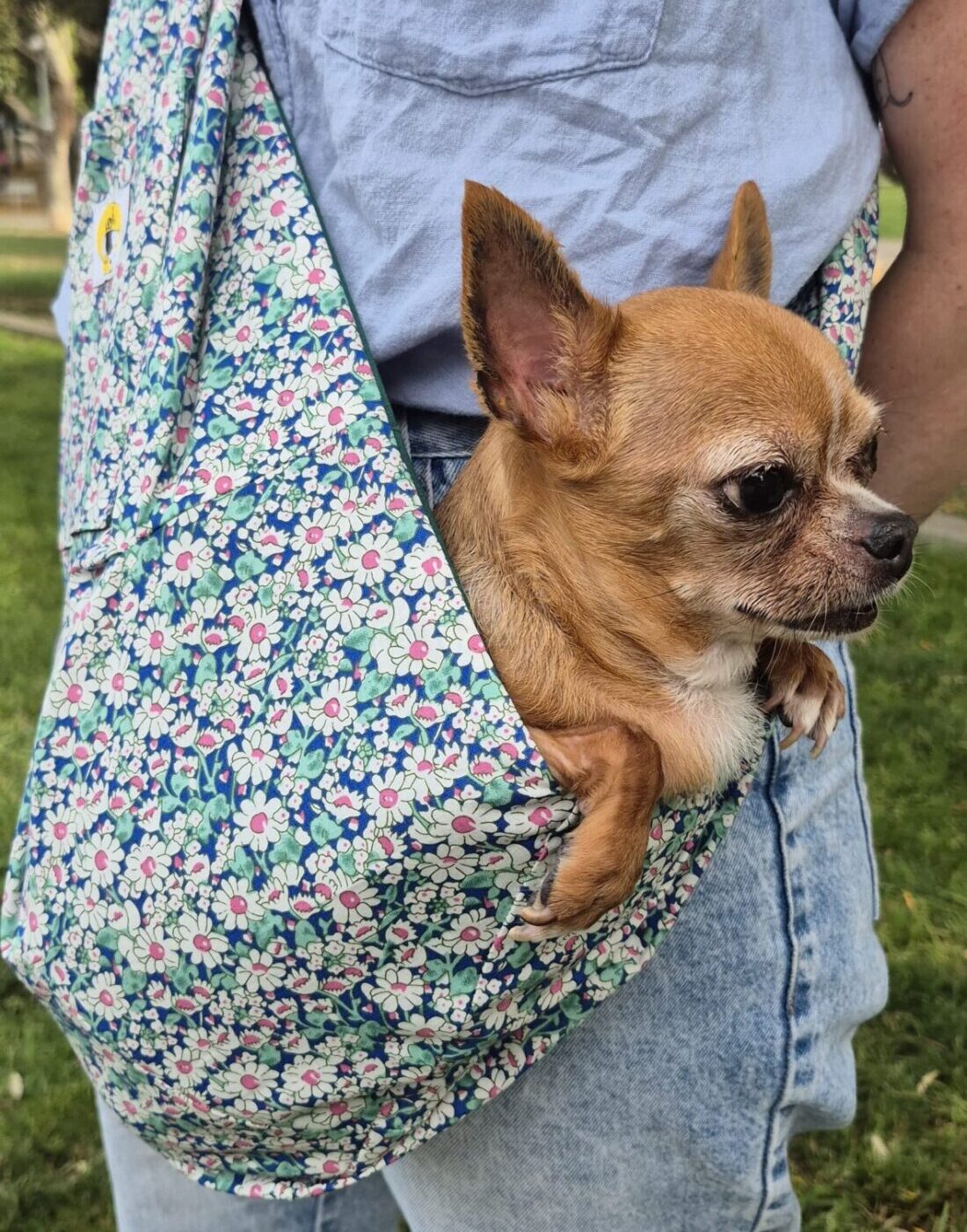 Bolso bandolera Margaritas para llevar perros pequeños - Imagen 3